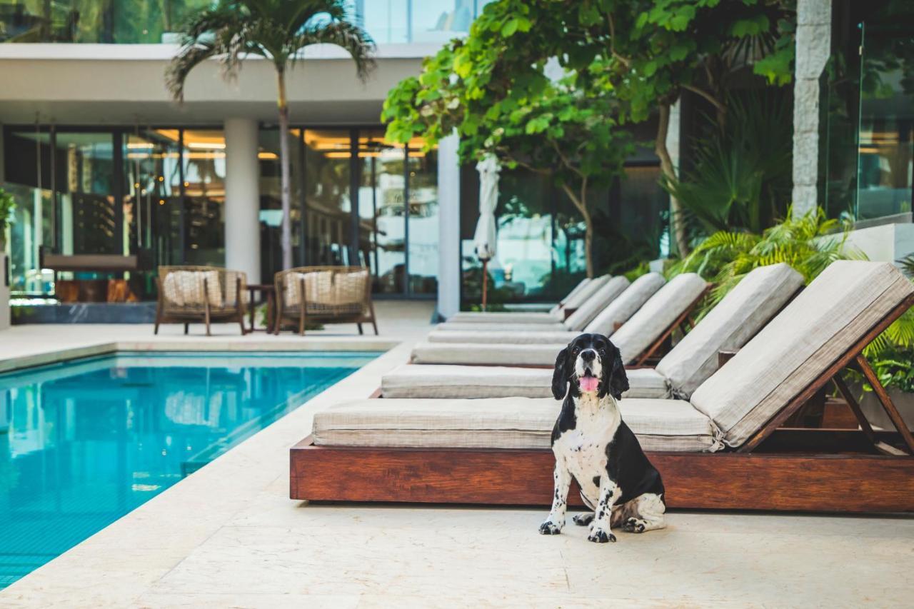 Thompson Playa Del Carmen Beach House, By Hyatt Zewnętrze zdjęcie