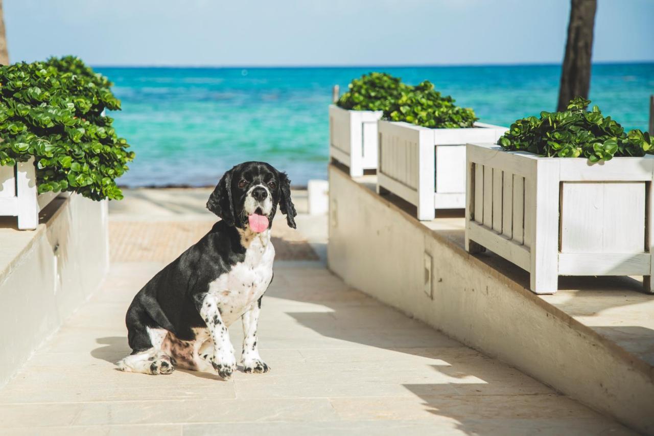 Thompson Playa Del Carmen Beach House, By Hyatt Zewnętrze zdjęcie